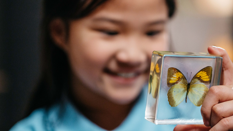 A young girl holding a butterfly specimen. 